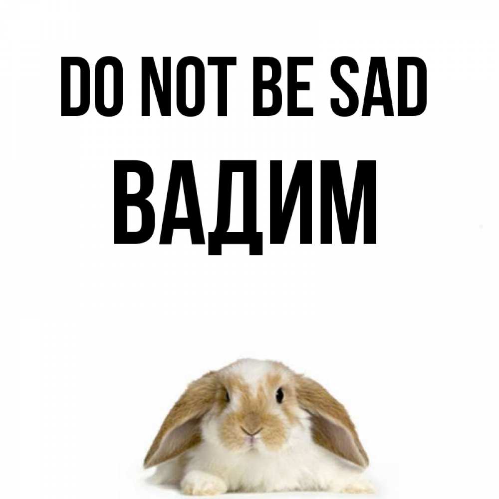 Greetings card с именем, Вадим Do not be sad коричнево белый заяц с большими ушками Greetings with text for free download 