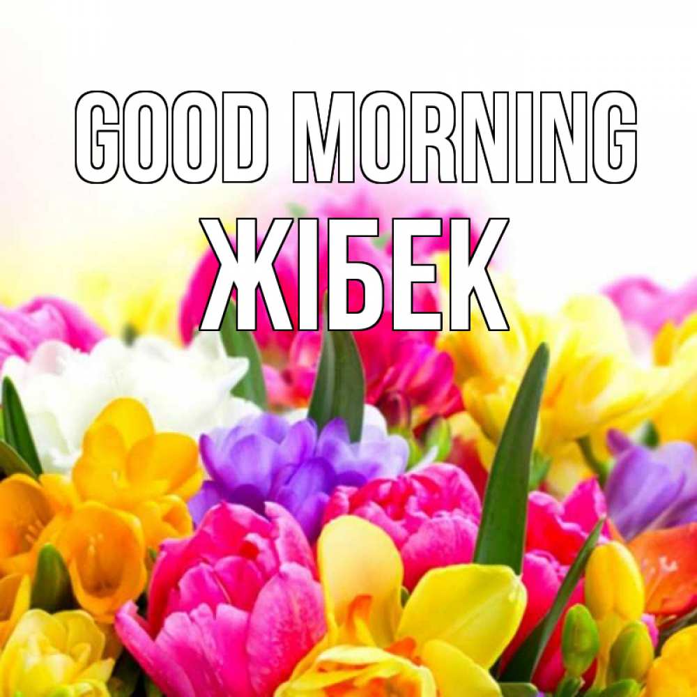 Greetings card с именем, ЖІБЕК Good morning создать открытку со свое подписью Greetings with text for free download 