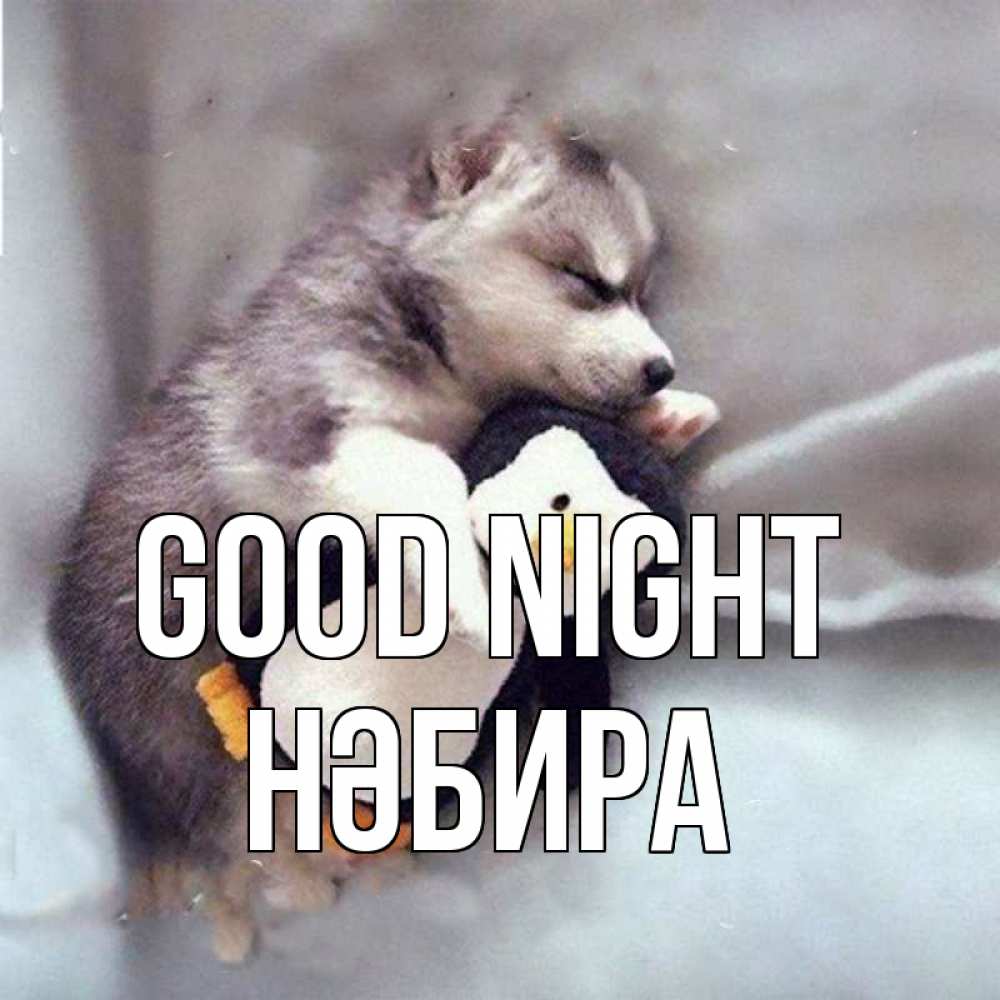 Greetings card с именем, НӘБИРА Good night обнимашки щенка и пингвина Greetings with text for free download 