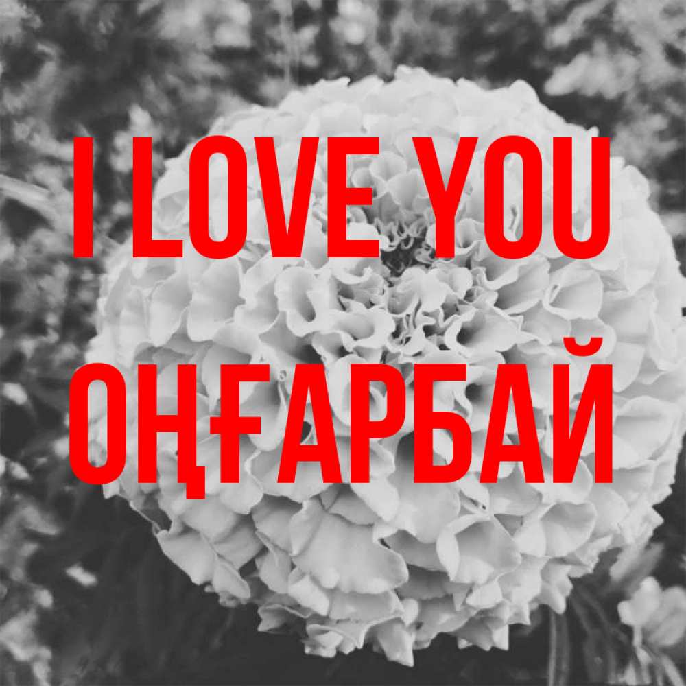 Greetings card с именем, ОҢҒАРБАЙ I love you подпись Greetings with text for free download 