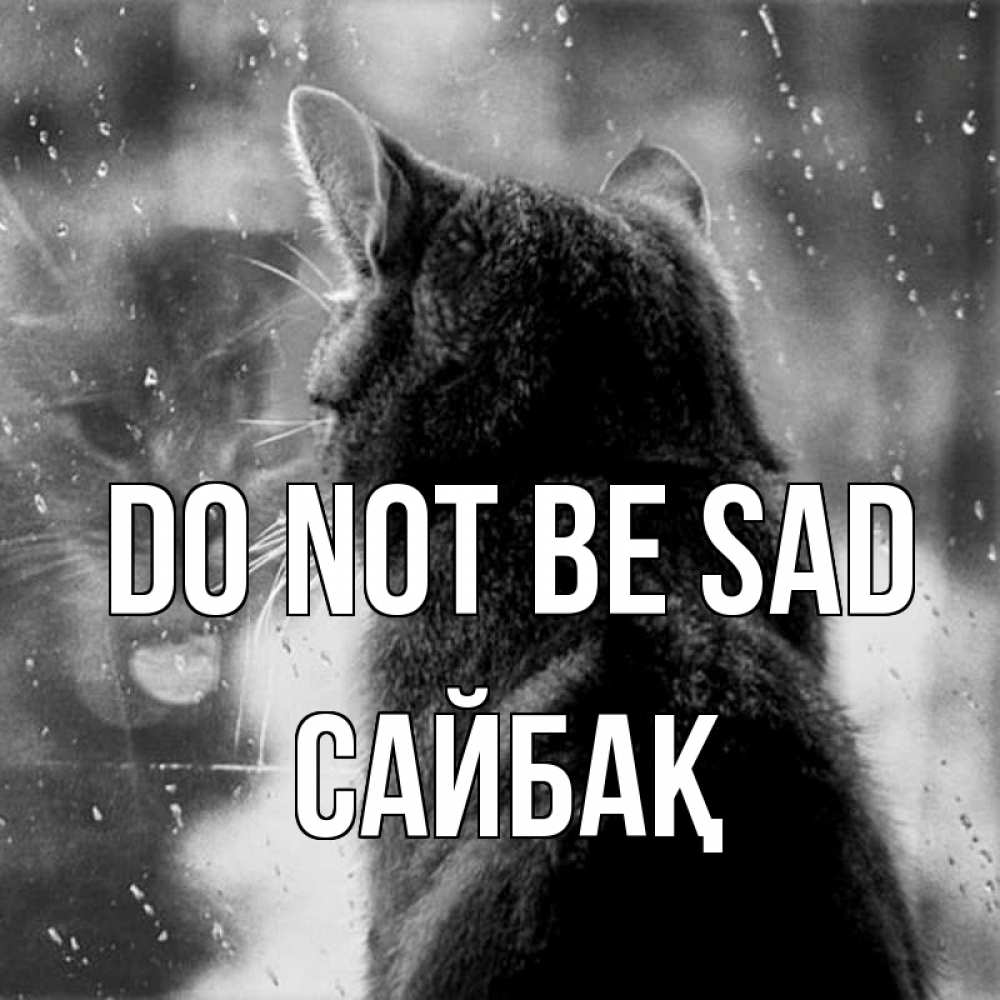 Greetings card с именем, САЙБАҚ Do not be sad отражение кота 1 Greetings with text for free download 