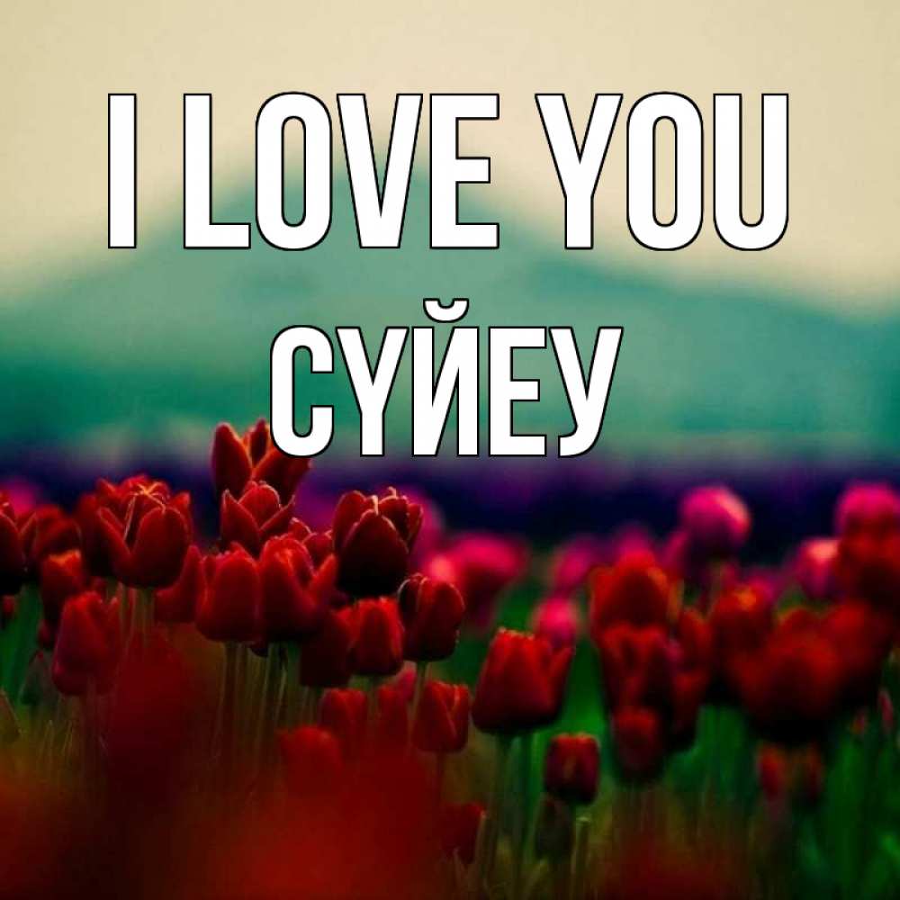 Greetings card с именем, СҮЙЕУ I love you тюльпаны 4 Greetings with text for free download 