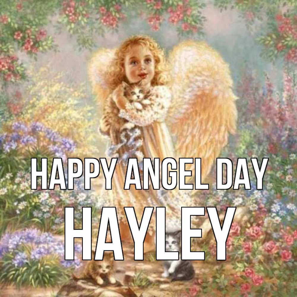 Greetings card с именем, Hayley happy angel day держит котенка Greetings with text for free download 