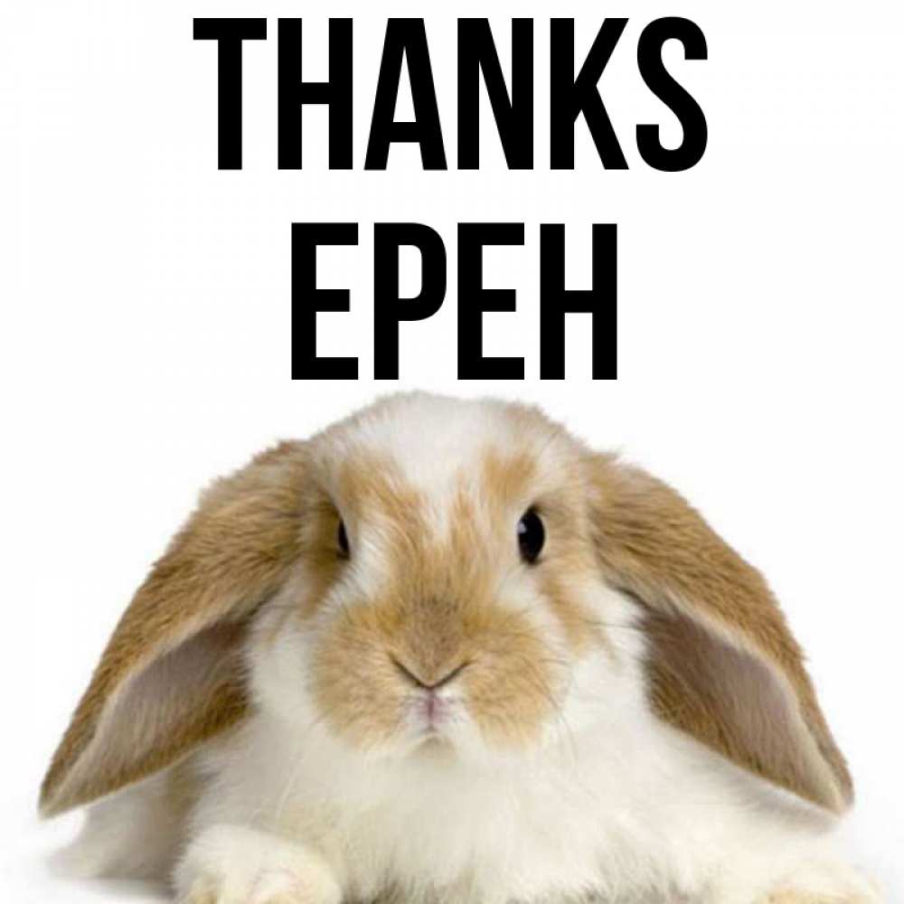 Greetings card с именем, Ерен Thanks коричнево белый заяц Greetings with text for free download 