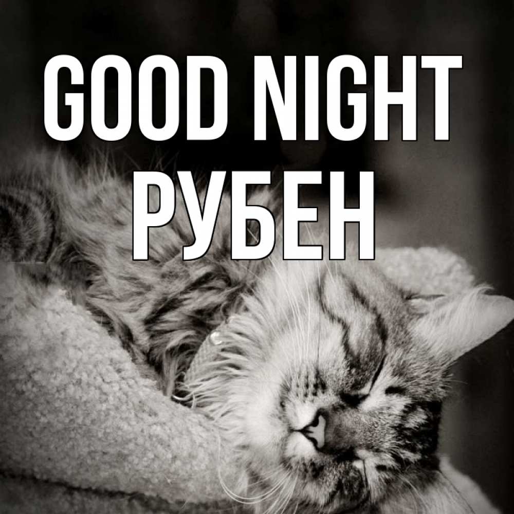 Greetings card с именем, Рубен Good night котярик пушистый Greetings with text for free download 
