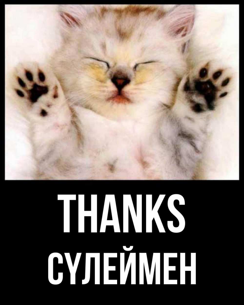 Greetings card с именем, СҮЛЕЙМЕН Thanks маленький котенок Greetings with text for free download 