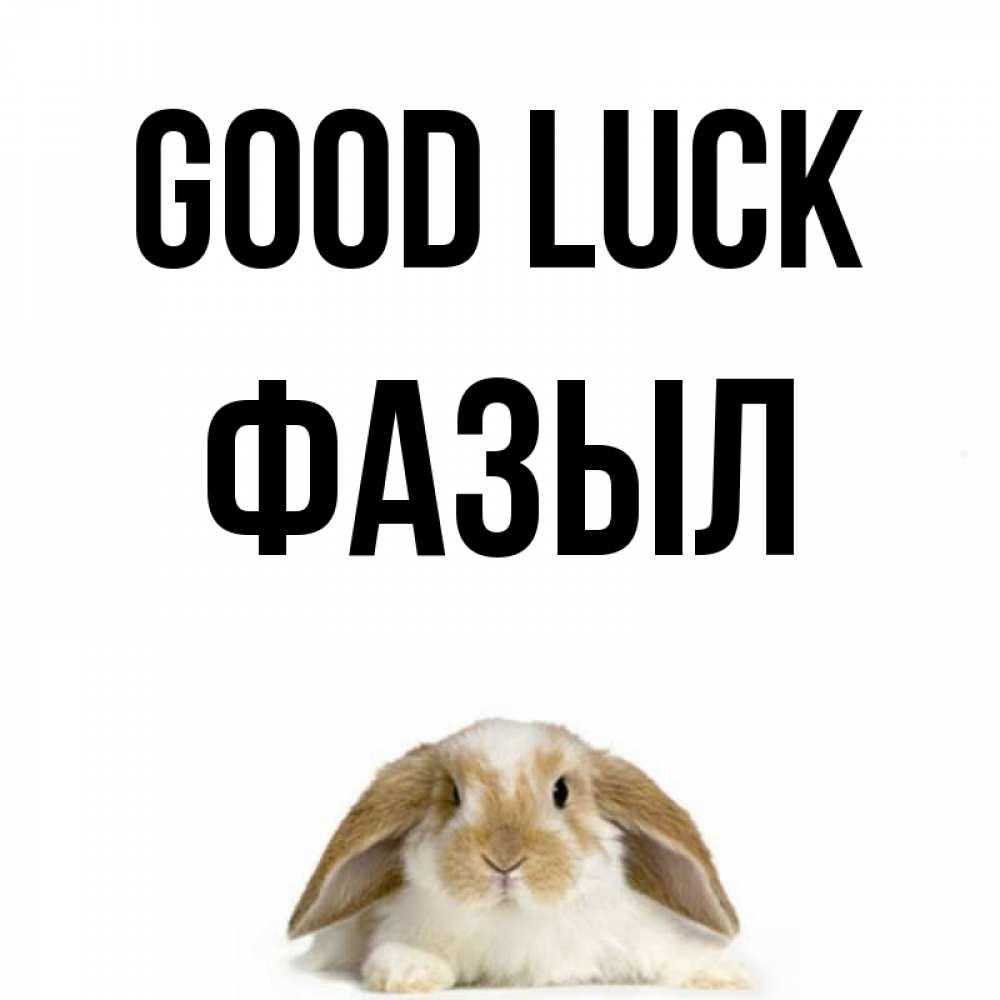 Greetings card с именем, ФАЗЫЛ Good luck открытки с произвольным текстом который можно вставить в открытку и создать ее самостоятельно бесплатно онлайн Greetings with text for free download 