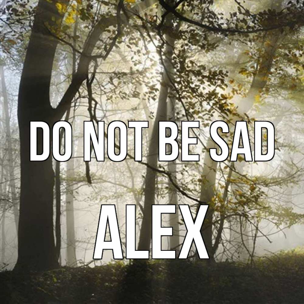 Greetings card с именем, Alex Do not be sad лес и свет Greetings with text for free download 