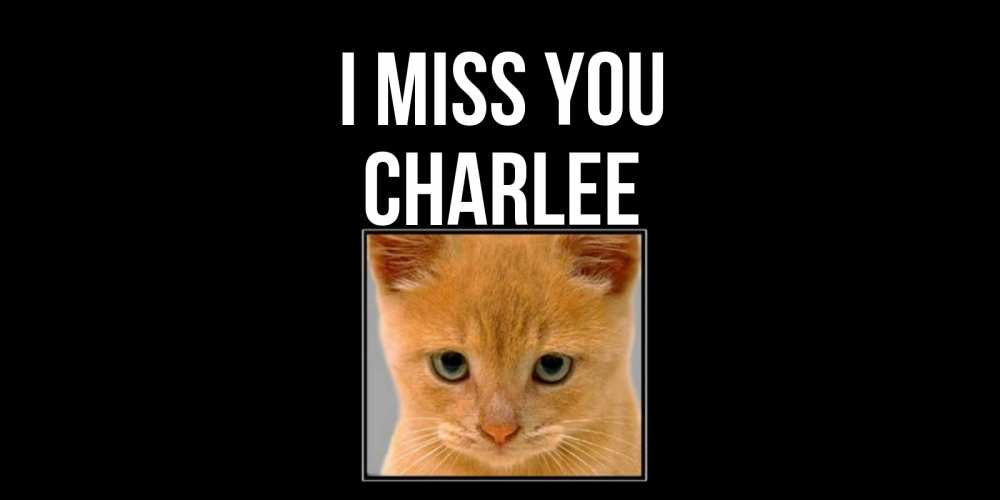 Greetings card с именем, Charlee I miss you открытки рыжий котенок скучает по тебе Greetings with text for free download 