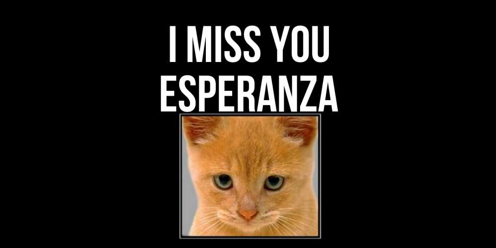 Greetings card с именем, Esperanza I miss you открытки рыжий котенок скучает по тебе Greetings with text for free download 