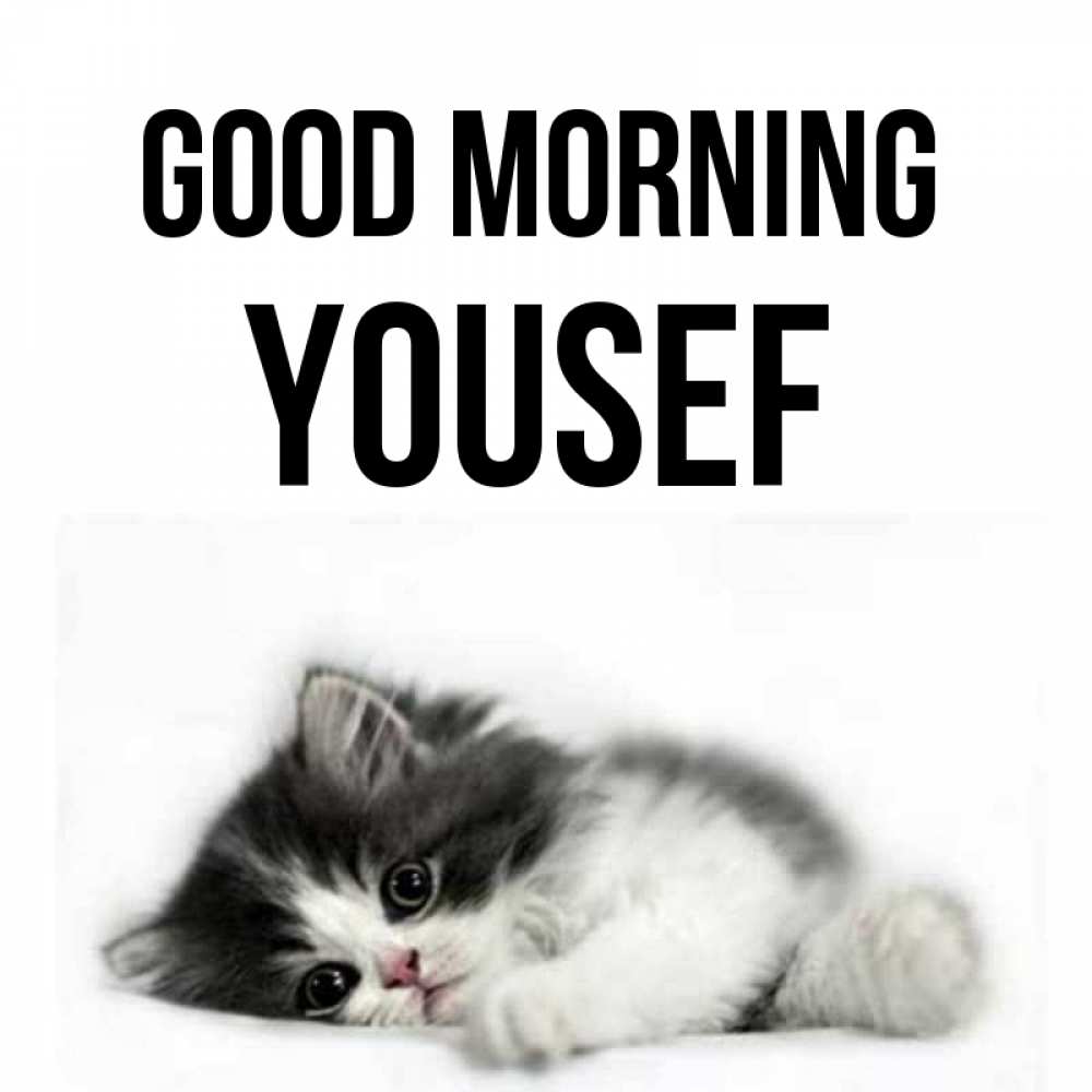 Greetings card с именем, Yousef Good morning кот лапки Greetings with text for free download 
