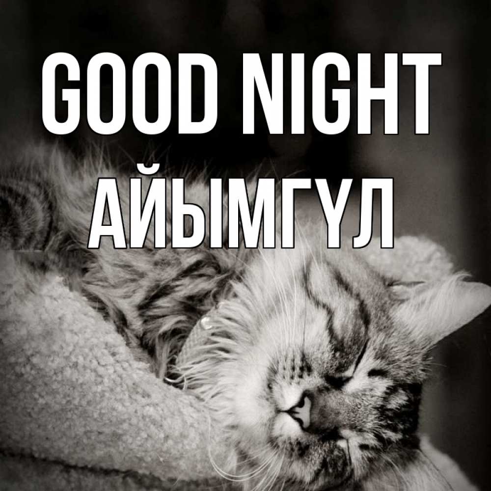 Greetings card с именем, АЙЫМГҮЛ Good night котярик пушистый Greetings with text for free download 