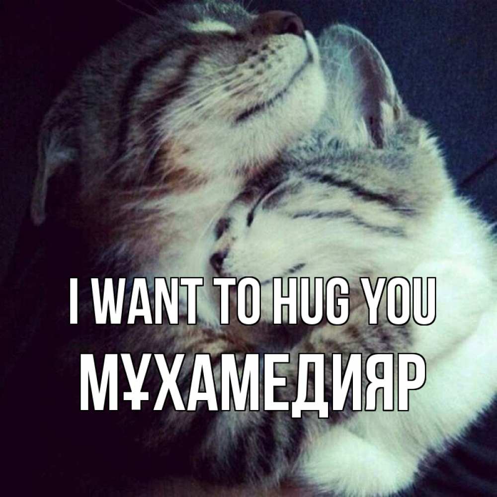 Greetings card с именем, МҰХАМЕДИЯР I want to hug you полосатики Greetings with text for free download 