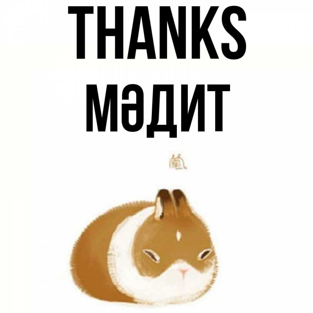 Greetings card с именем, МӘДИТ Thanks коричнево белый домашний питомец Greetings with text for free download 