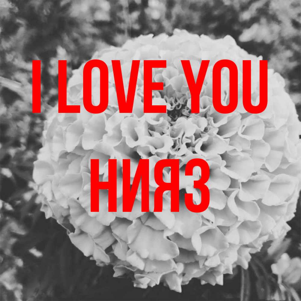 Greetings card с именем, НИЯЗ I love you подпись Greetings with text for free download 