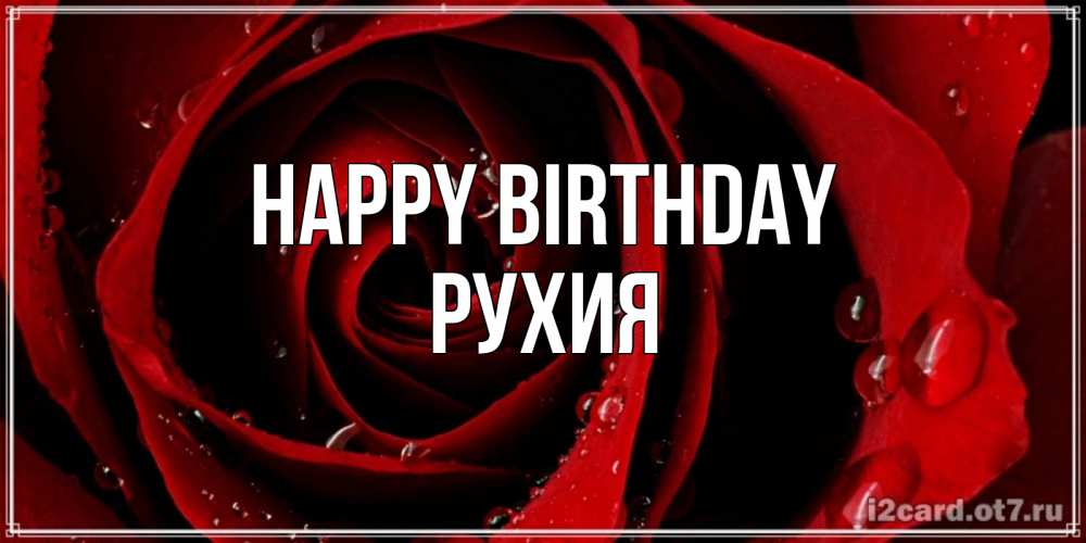 Greetings card с именем, РУХИЯ Happy Birthday крупная бордовая роза Greetings with text for free download 