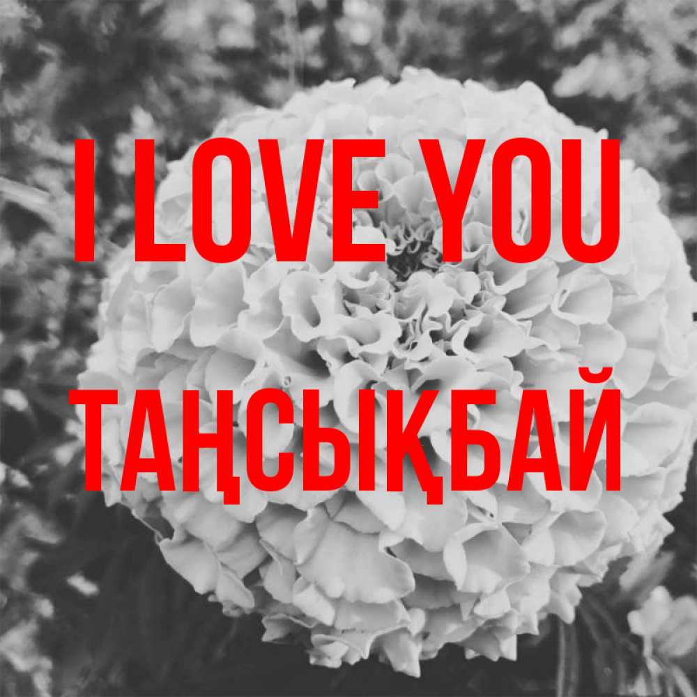 Greetings card с именем, ТАҢСЫҚБАЙ I love you подпись Greetings with text for free download 