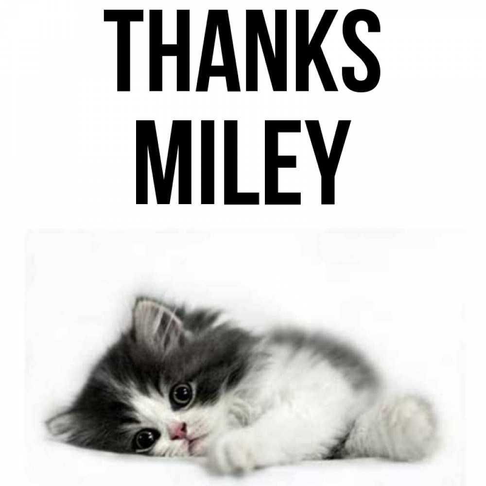 Greetings card с именем, Miley Thanks черный и белый кот Greetings with text for free download 