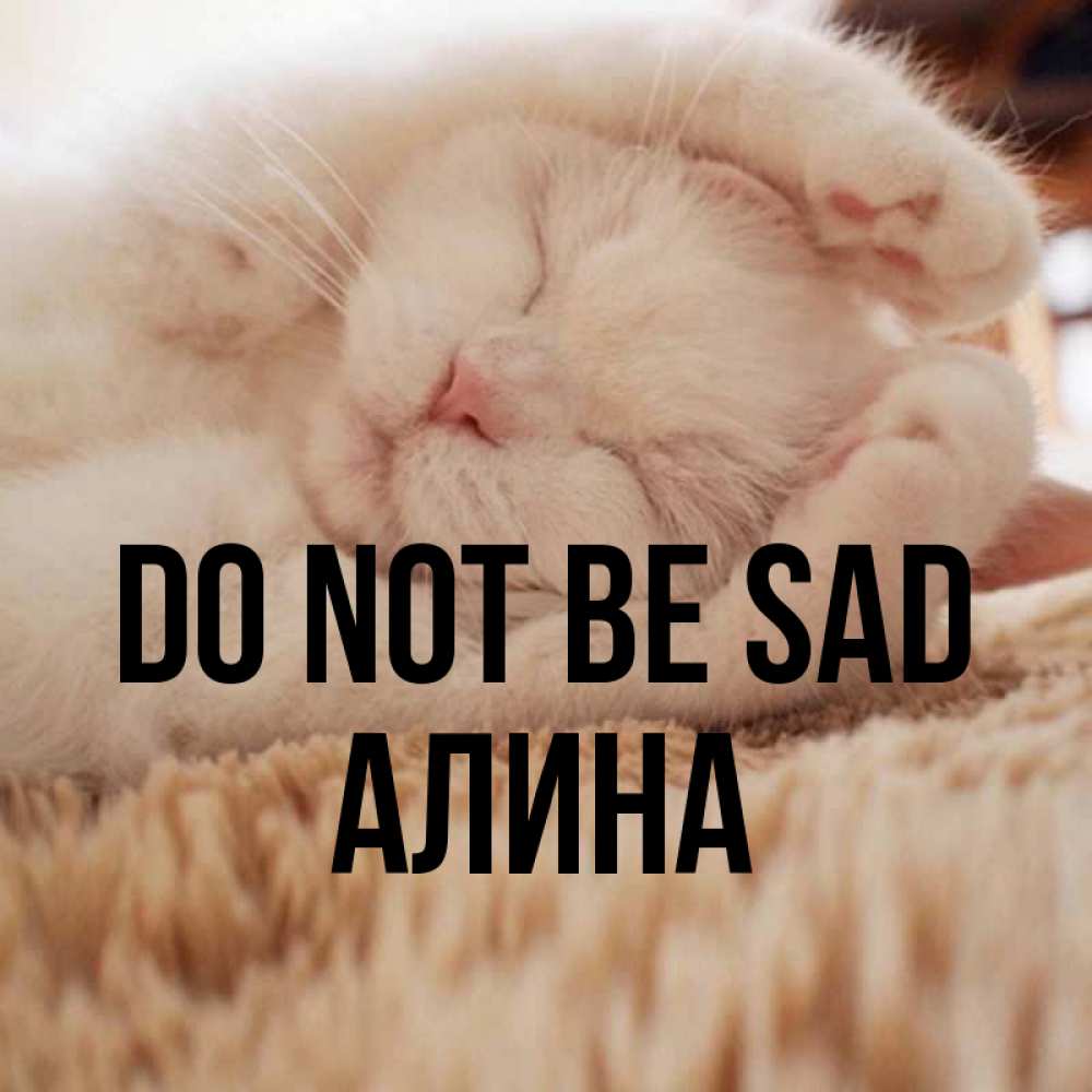 Greetings card с именем, Алина Do not be sad Котенок спит Greetings with text for free download 