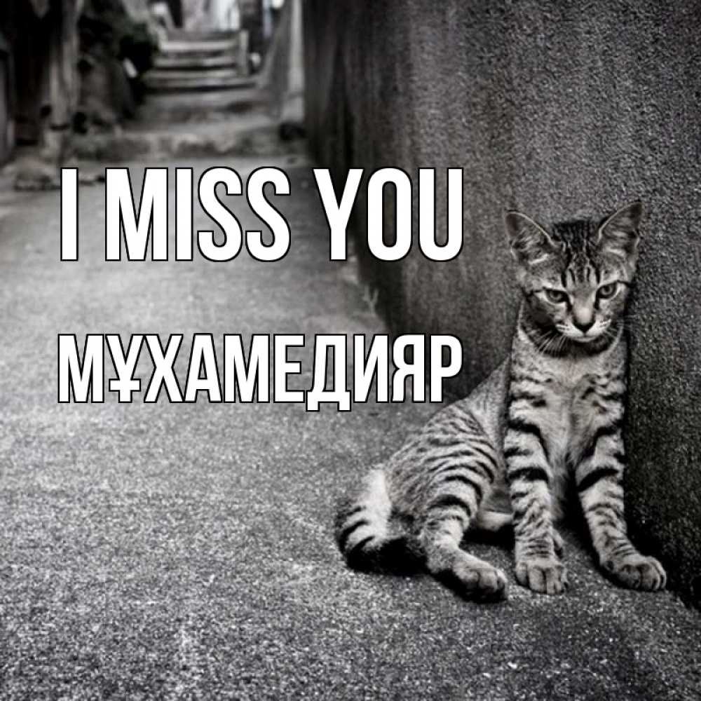 Greetings card с именем, МҰХАМЕДИЯР I miss you одиноко котику Greetings with text for free download 