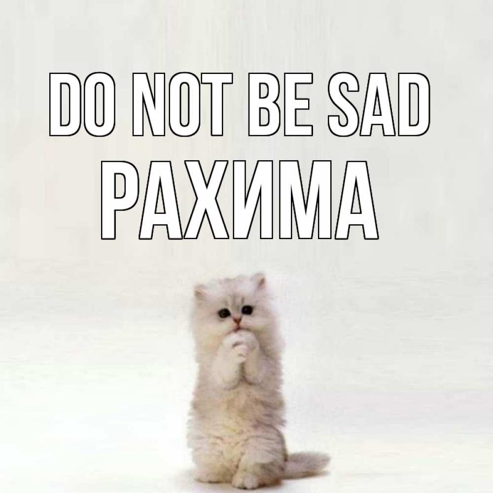 Greetings card с именем, РАХИМА Do not be sad грустный кот Greetings with text for free download 