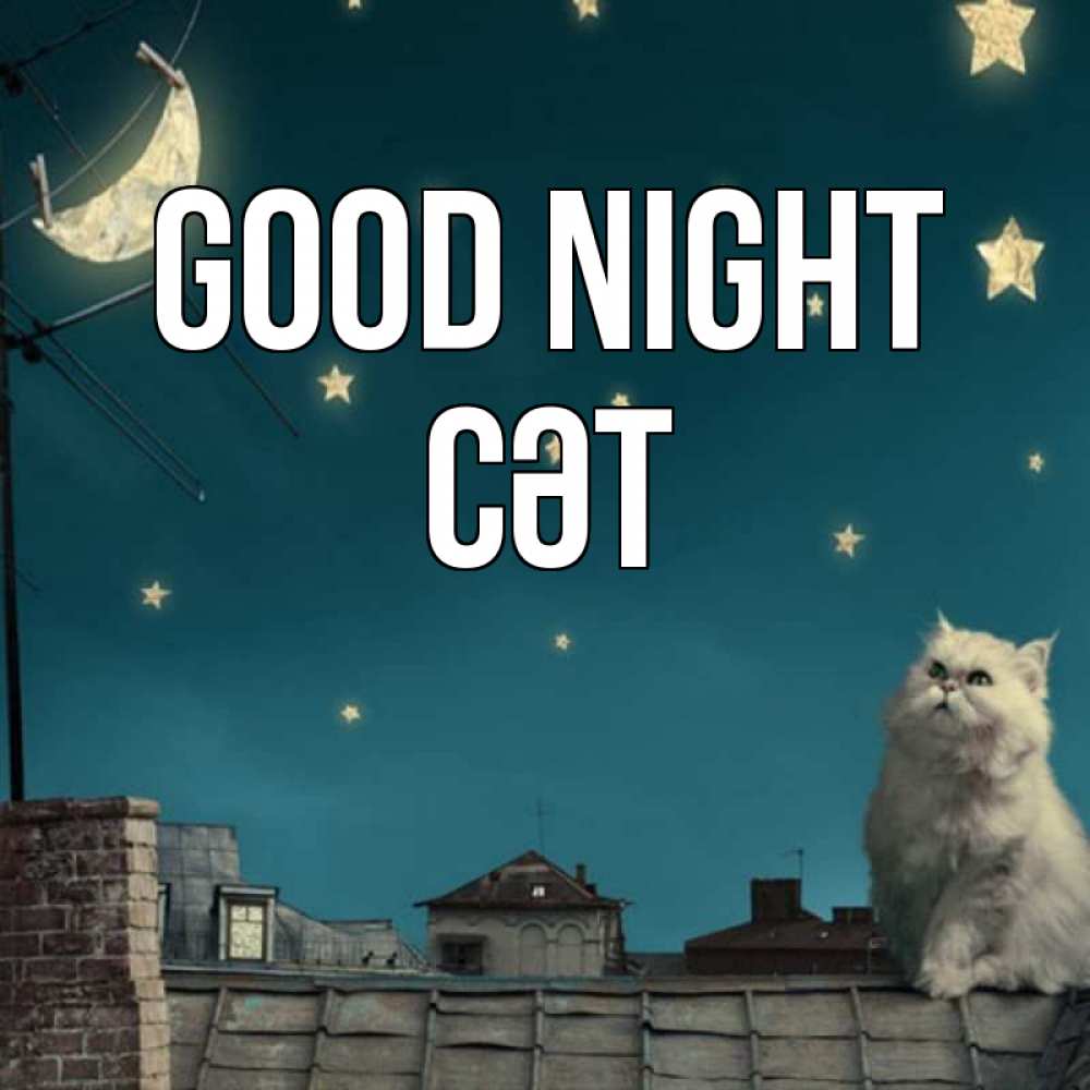 Greetings card с именем, СӘТ Good night белый кот сидит на крыше Greetings with text for free download 