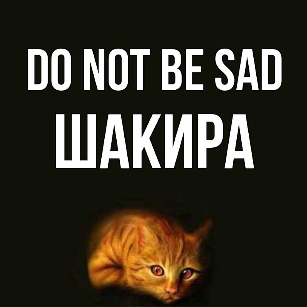 Greetings card с именем, Шакира Do not be sad лежащий кот в темноте Greetings with text for free download 