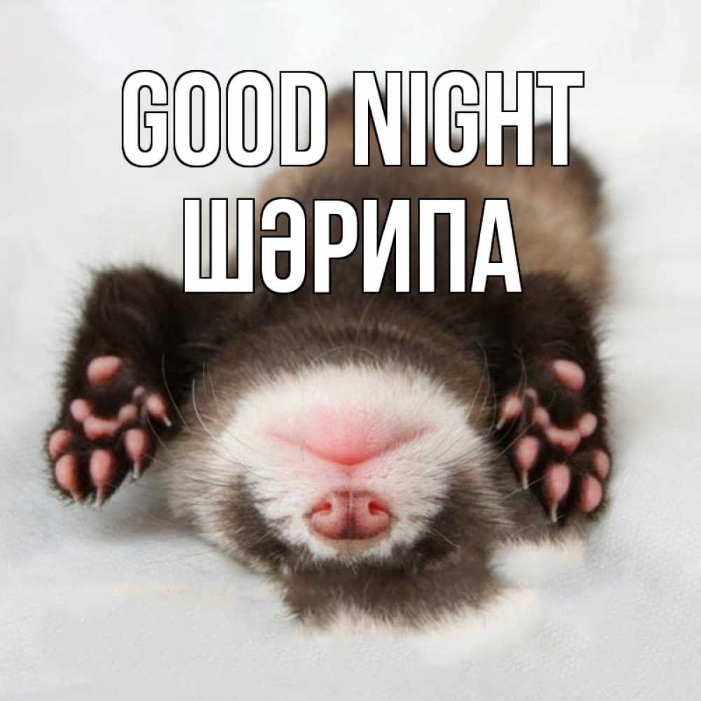 Greetings card с именем, ШӘРИПА Good night зверек Greetings with text for free download 