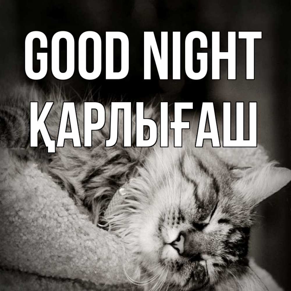 Greetings card с именем, ҚАРЛЫҒАШ Good night котярик пушистый Greetings with text for free download 