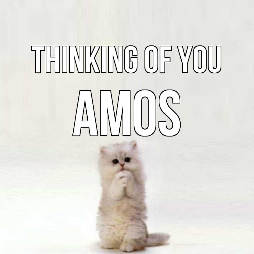 Greetings card с именем, Amos Thinking of you кот стоит на задних лапах Greetings with text for free download 