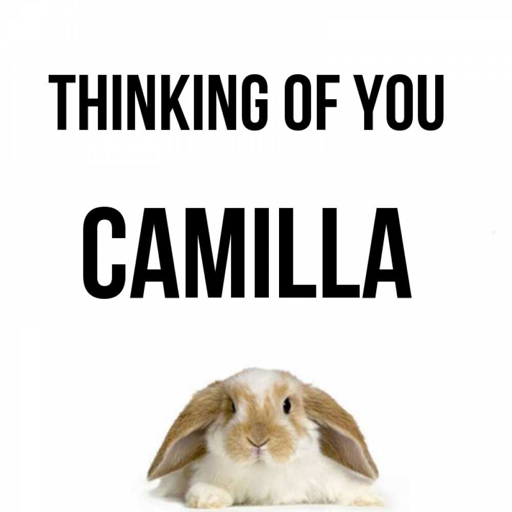 Greetings card с именем, Camilla Thinking of you подписать своими руками онлайн Greetings with text for free download 