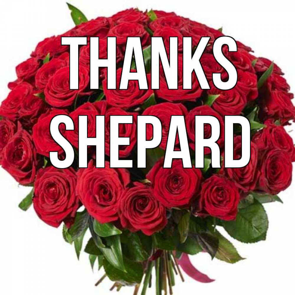 Greetings card с именем, Shepard Thanks букет красных роз Greetings with text for free download 