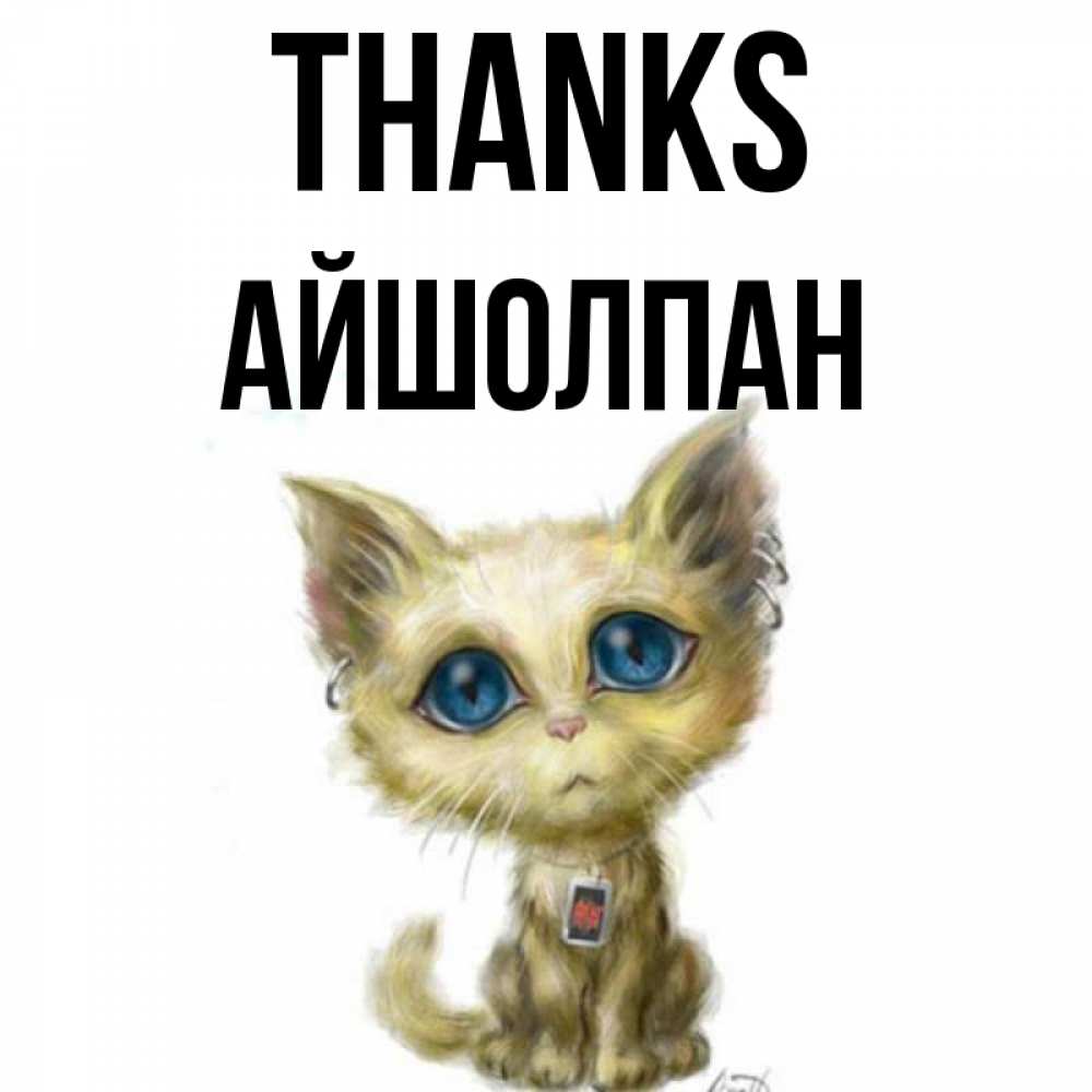 Greetings card с именем, АЙШОЛПАН Thanks рисованный кот благодарит вас Greetings with text for free download 