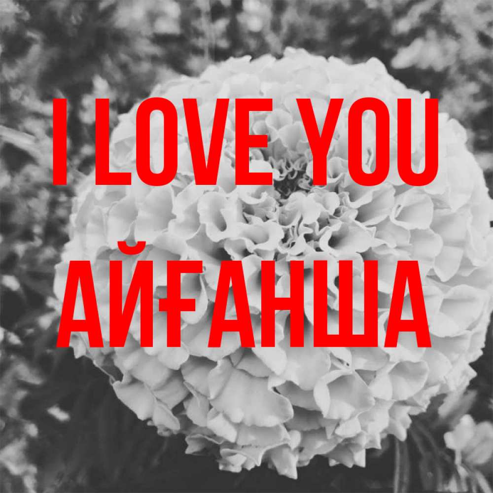 Greetings card с именем, АЙҒАНША I love you подпись Greetings with text for free download 
