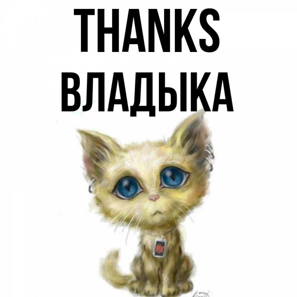 Greetings card с именем, Владыка Thanks рисованный кот благодарит вас Greetings with text for free download 
