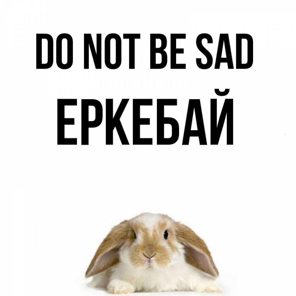Greetings card с именем, Еркебай Do not be sad коричнево белый заяц с большими ушками Greetings with text for free download 