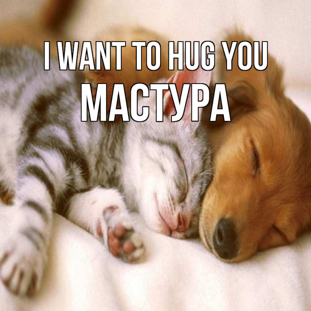 Greetings card с именем, МАСТУРА I want to hug you пес и котенок Greetings with text for free download 