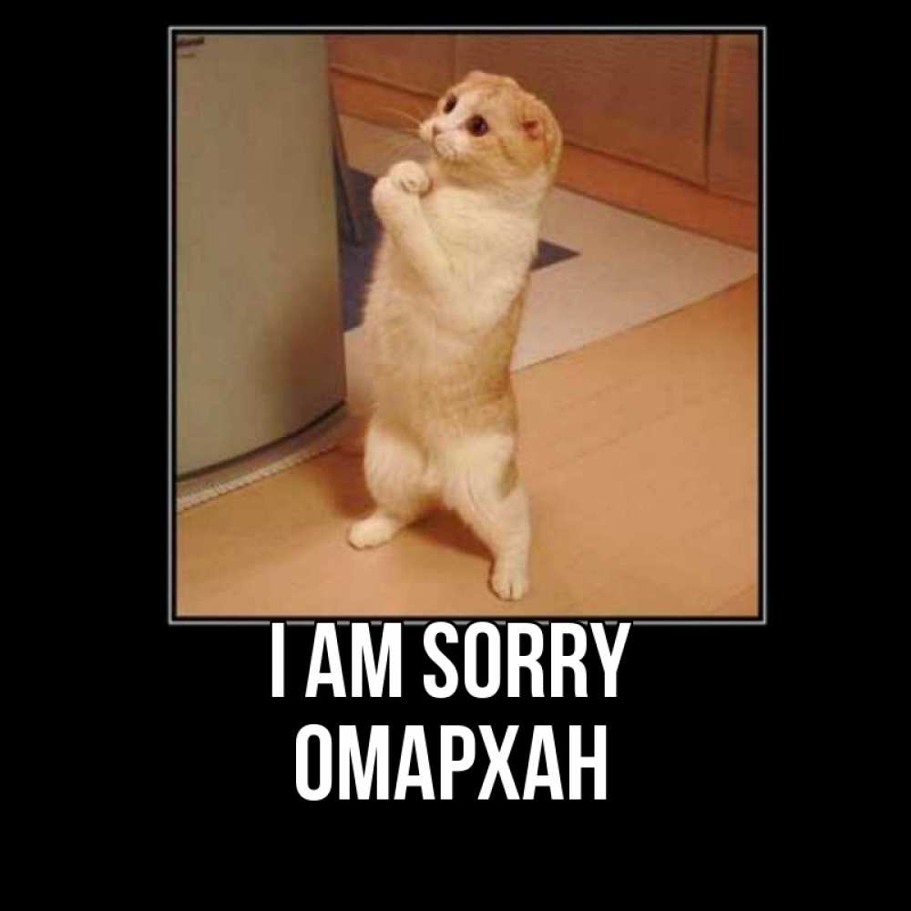 Greetings card с именем, ОМАРХАН I am sorry открытка с милым несчастным котиком просящим прощения Greetings with text for free download 