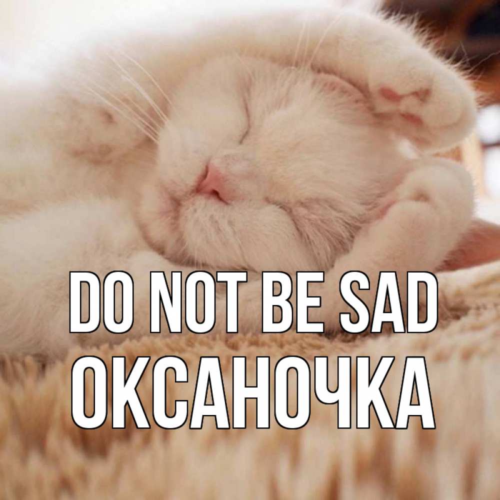 Greetings card с именем, Оксаночка Do not be sad белый кот Greetings with text for free download 