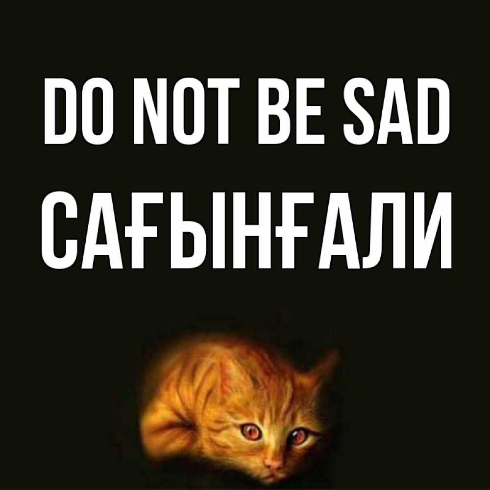 Greetings card с именем, Сағынғали Do not be sad лежащий кот в темноте Greetings with text for free download 