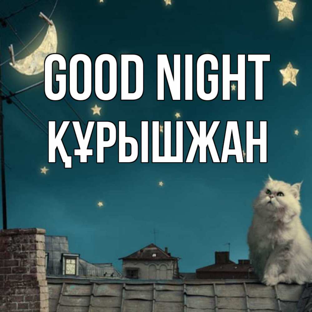 Greetings card с именем, ҚҰРЫШЖАН Good night белый кот сидит на крыше Greetings with text for free download 