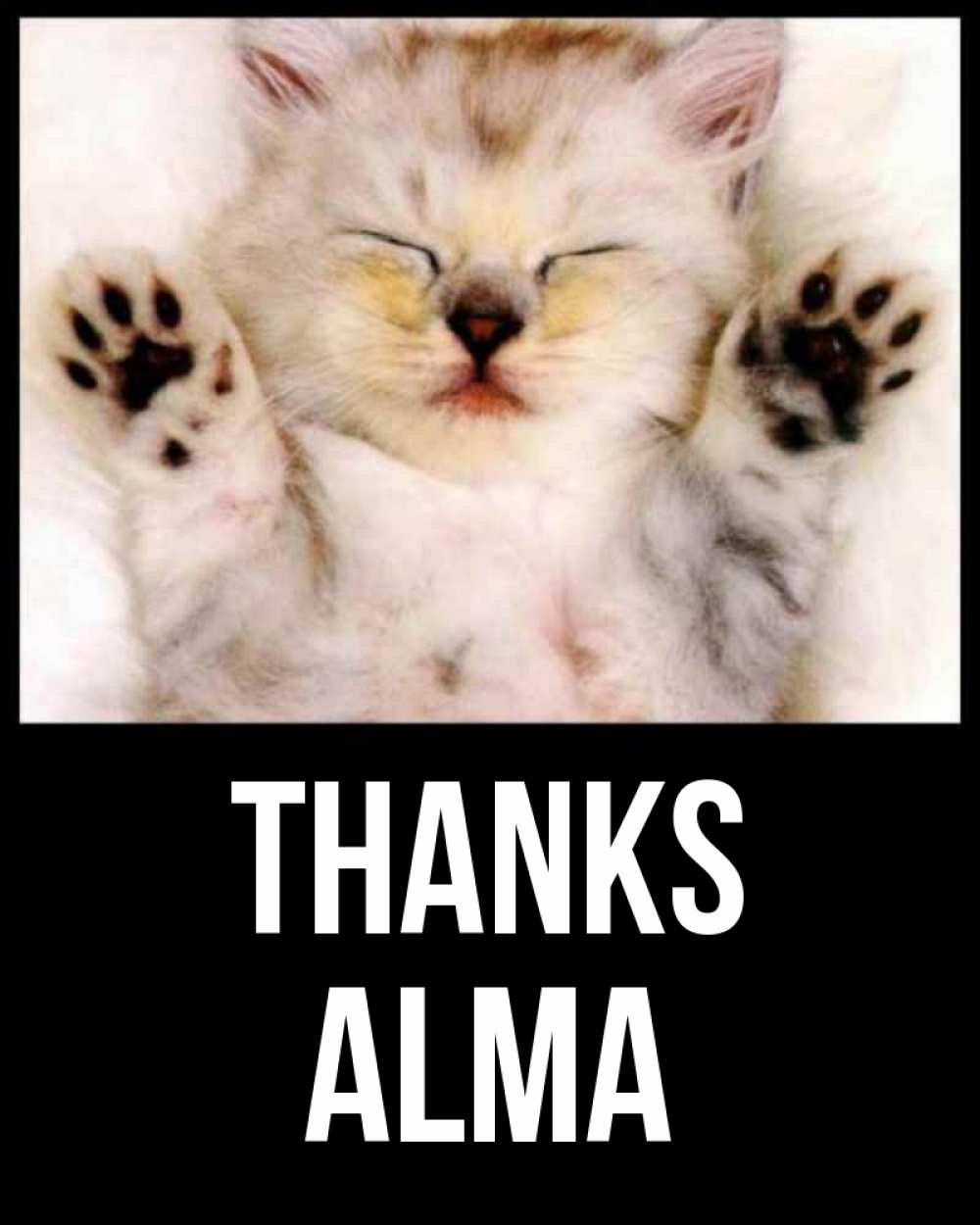 Greetings card с именем, Alma Thanks маленький котенок Greetings with text for free download 