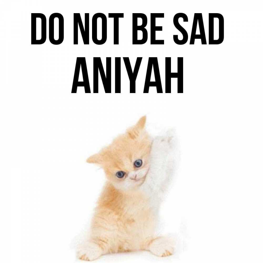 Greetings card с именем, Aniyah Do not be sad просящий кот Greetings with text for free download 