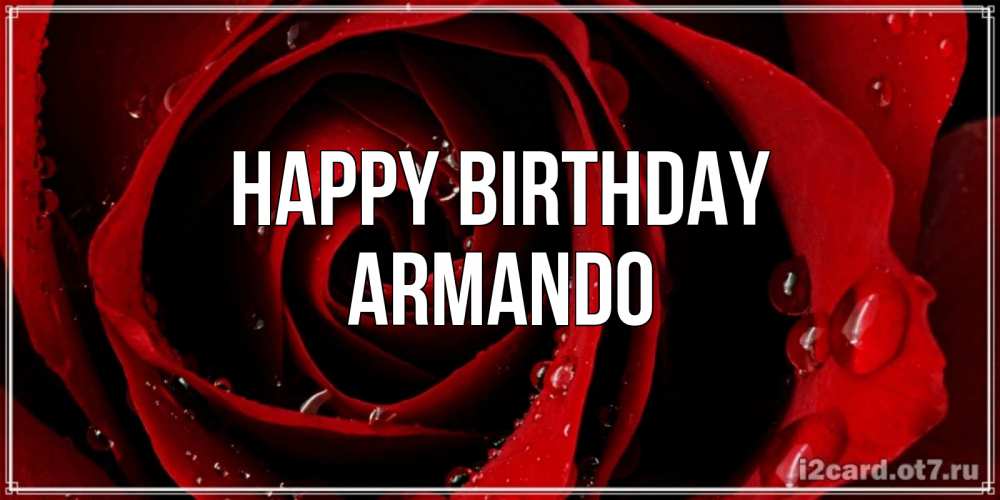 Greetings card с именем, Armando Happy Birthday крупная бордовая роза Greetings with text for free download 