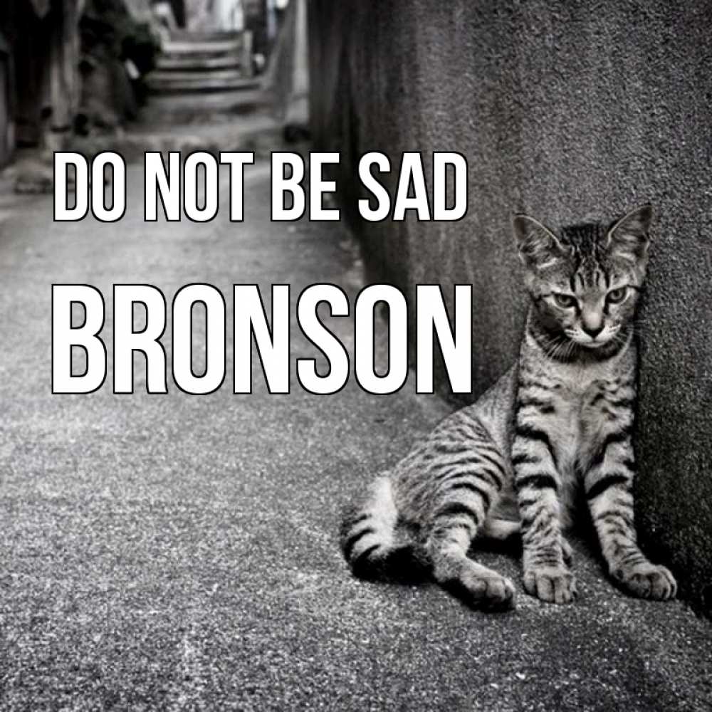 Greetings card с именем, Bronson Do not be sad скучающий котик Greetings with text for free download 