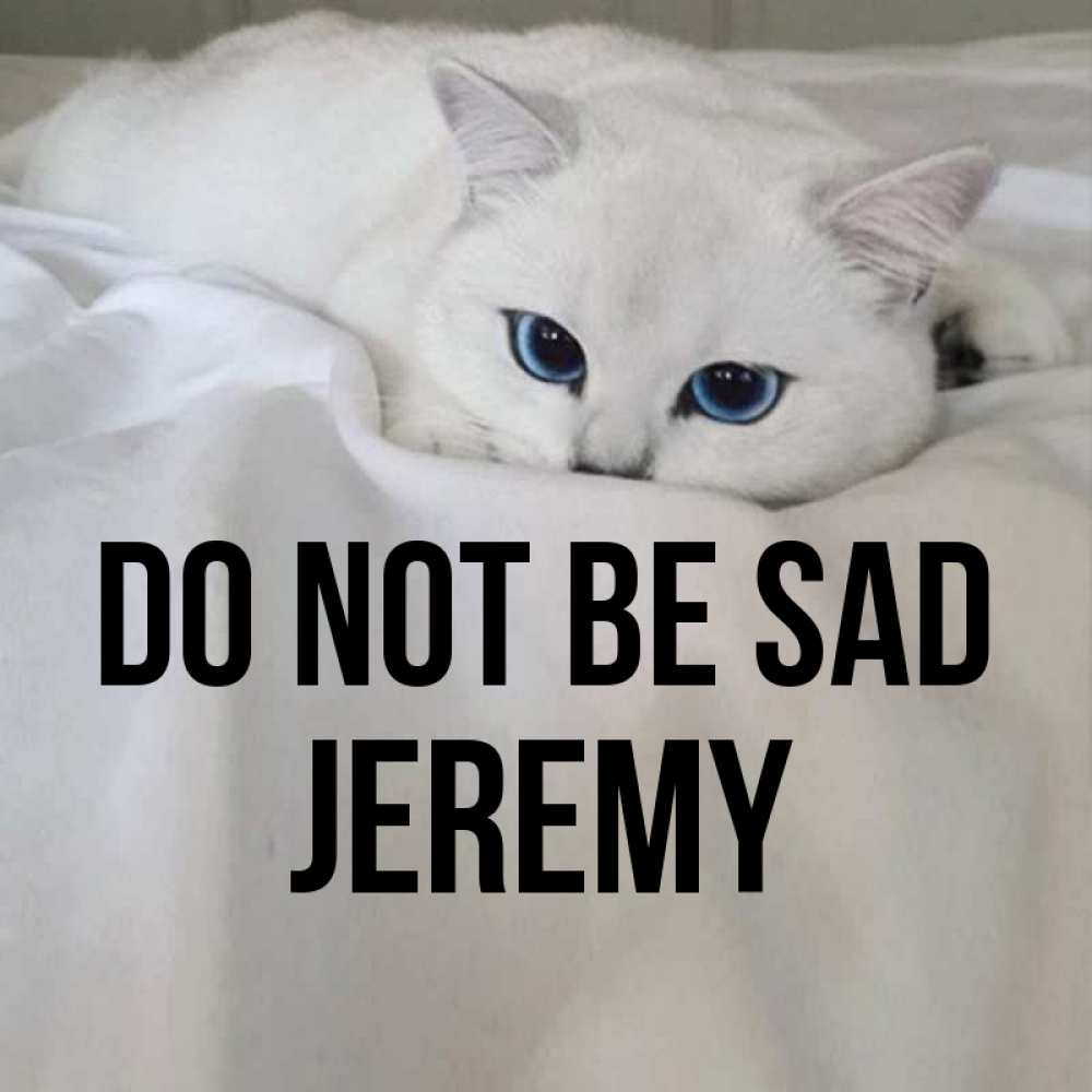 Greetings card с именем, Jeremy Do not be sad Голубоглазая кошка Greetings with text for free download 