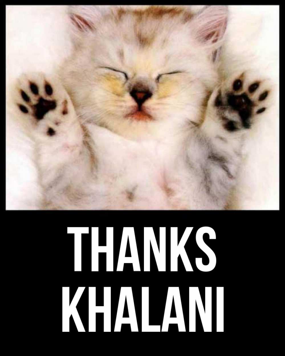 Greetings card с именем, Khalani Thanks маленький котенок Greetings with text for free download 