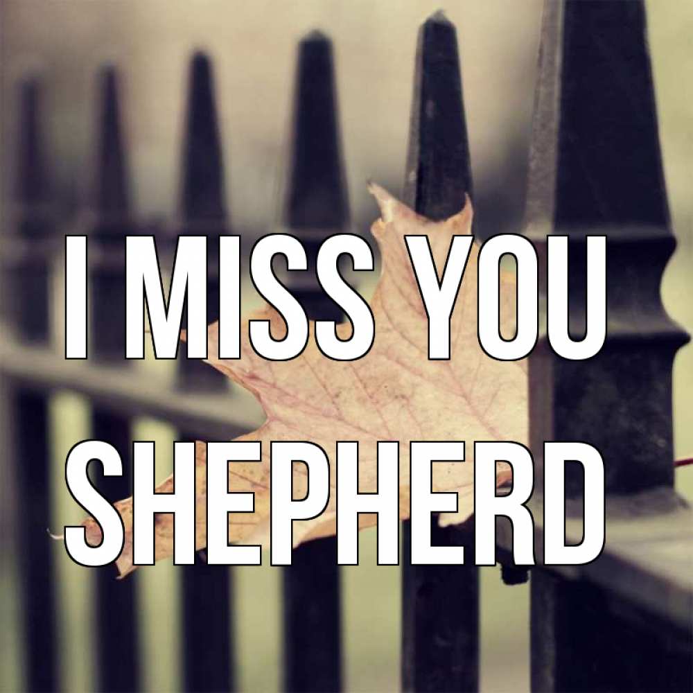 Greetings card с именем, Shepherd I miss you очень скучно Greetings with text for free download 
