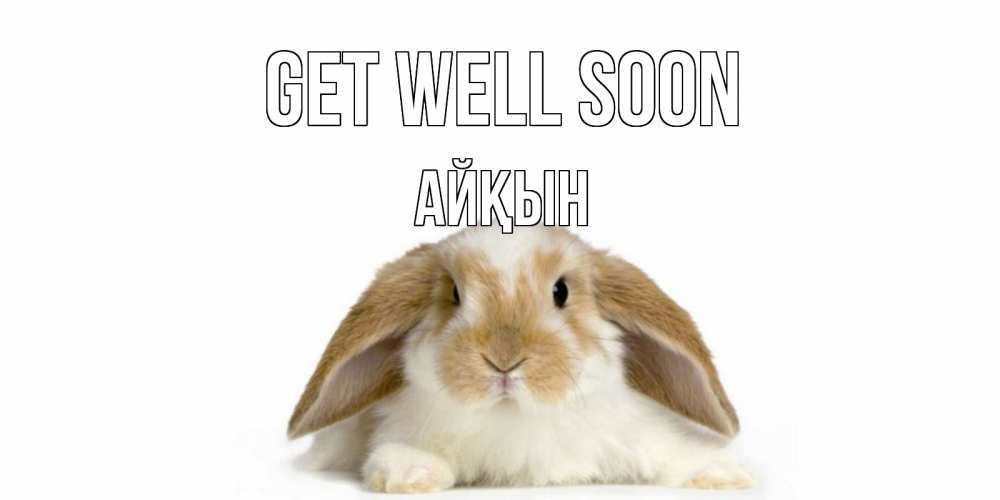 Greetings card с именем, Айқын Get well soon вислоухий кролик белого и коричневого цвета Greetings with text for free download 