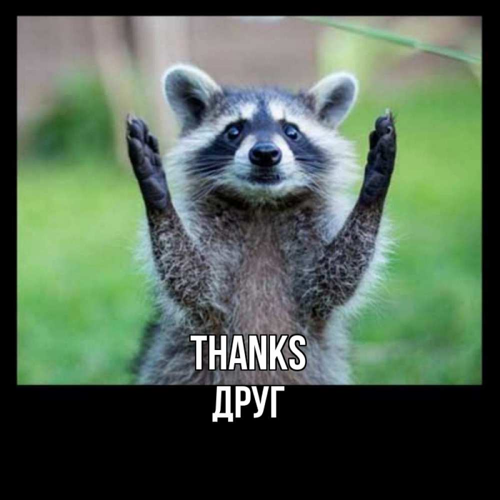 Greetings card с именем, Друг Thanks милые животные Greetings with text for free download 
